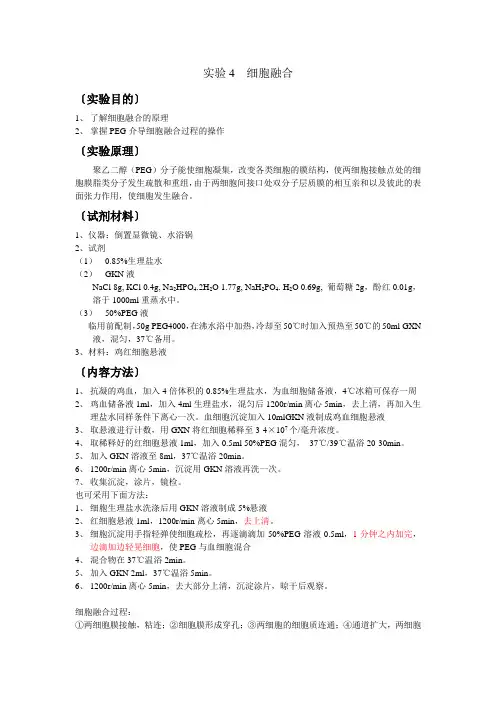 实验4 细胞融合