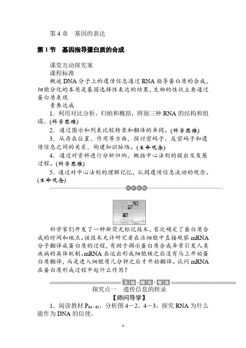 新教材人教版必修第二册 4.1 基因指导蛋白质的合成 学案