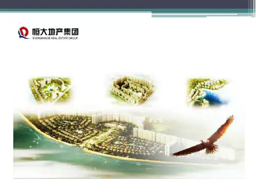 行业分析 恒大地产集团