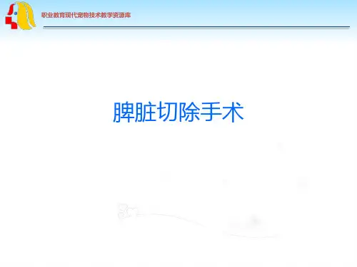 脾脏切除手术