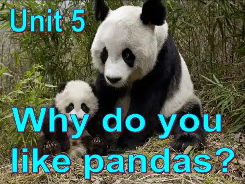 unit 5 why do you like pandas 第一课时 课件 七年级 新目标下