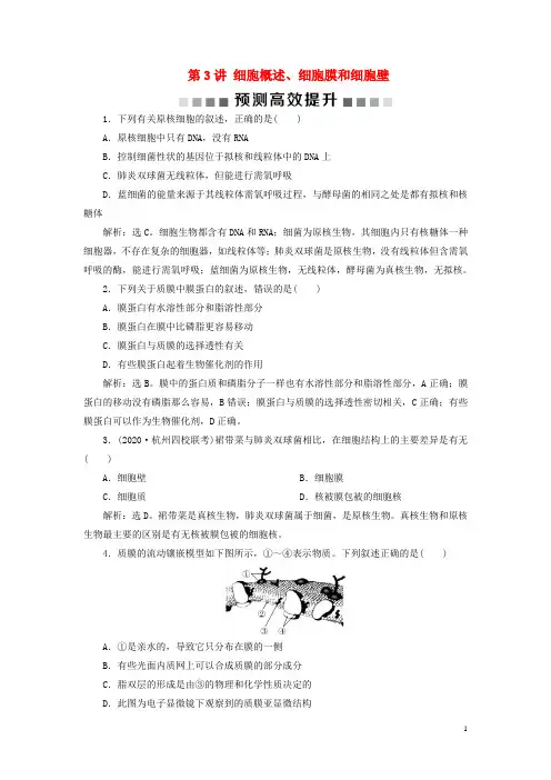 新高考生物一轮复习专题2细胞的结构第3讲细胞概述、细胞膜和细胞壁预测高效提升新人教版