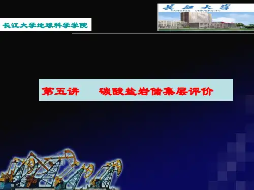 碳酸盐岩储集层评价
