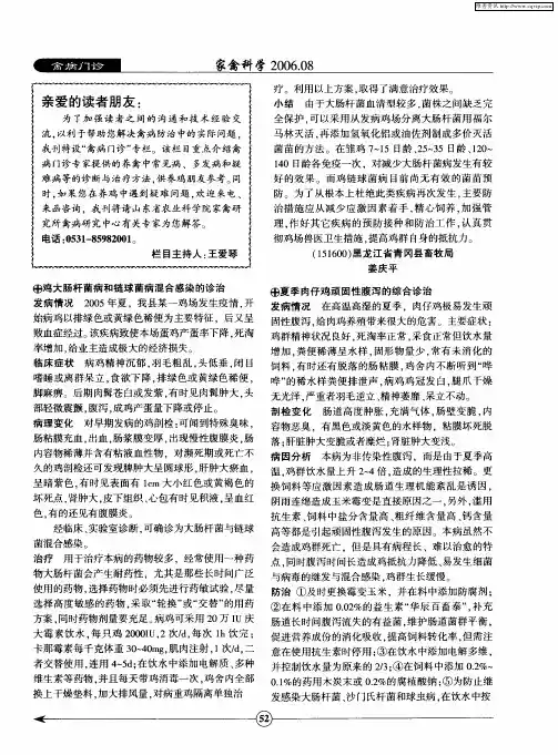 夏季肉仔鸡顽固性腹泻的综合诊治