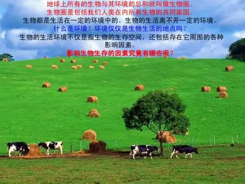生物与环境的关系