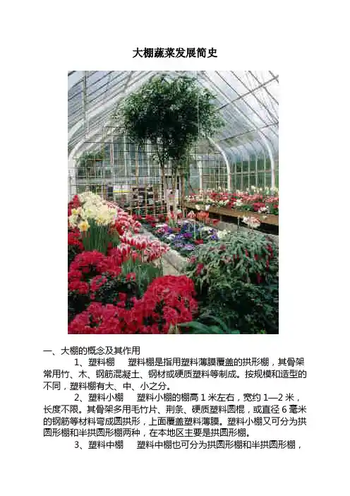大棚蔬菜发展简史