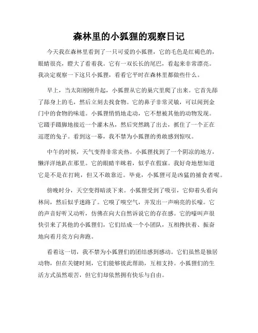 小学三年级作文森林里的小狐狸的观察日记