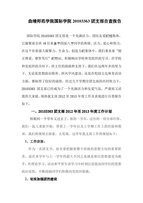 团支部自查报告