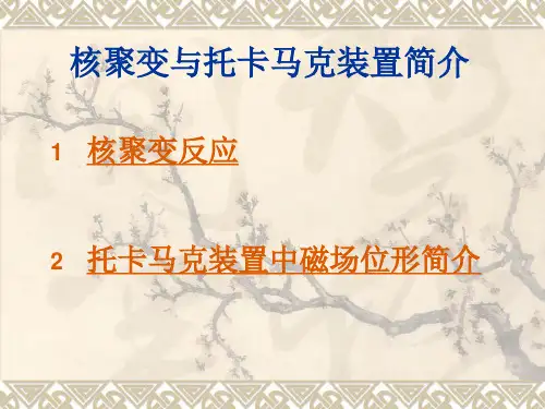 核聚变与托卡马克装置简介