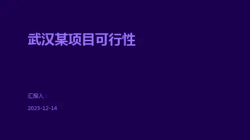 武汉某项目可行性