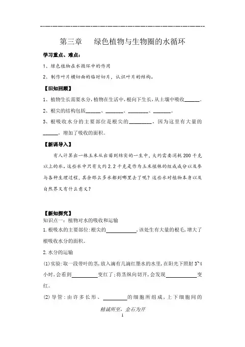 绿色植物与生物圈的水循环导学案