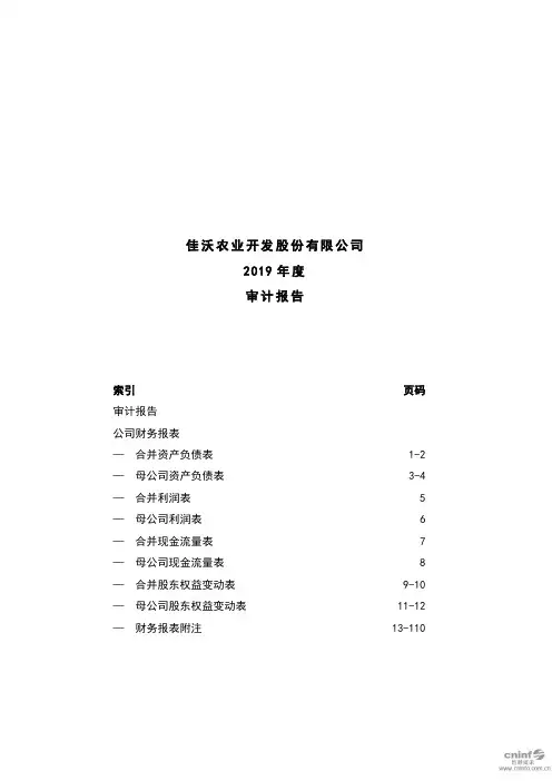 佳沃股份：2019年度审计报告