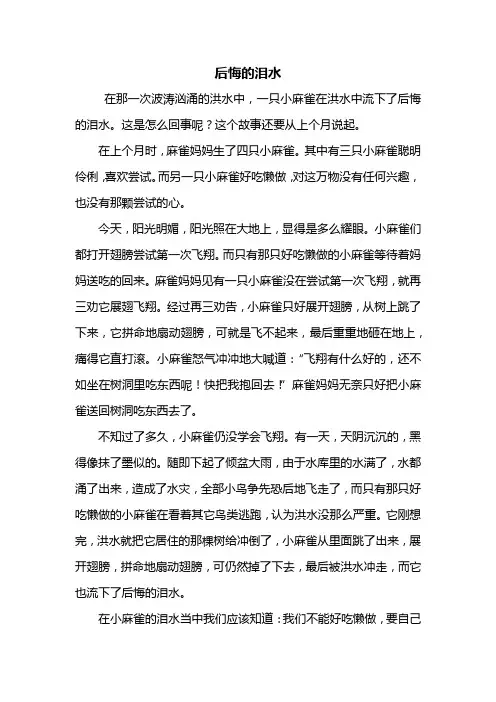 六年级作文：后悔的泪水作文500字