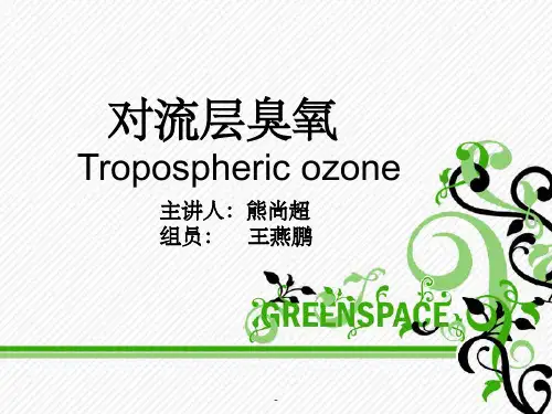 近地面臭氧ppt课件