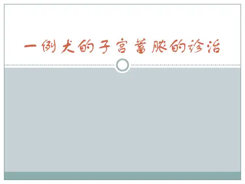一例犬的子宫蓄脓的诊治