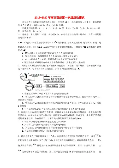 2019-2020年高三理综第一次适应性测试