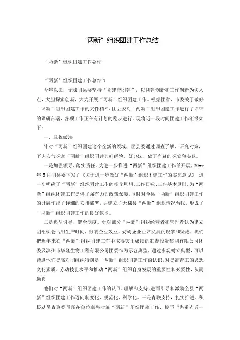 “两新”组织团建工作总结