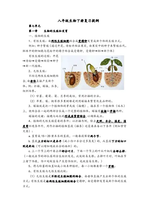 人教版八年级生物下册复习提纲