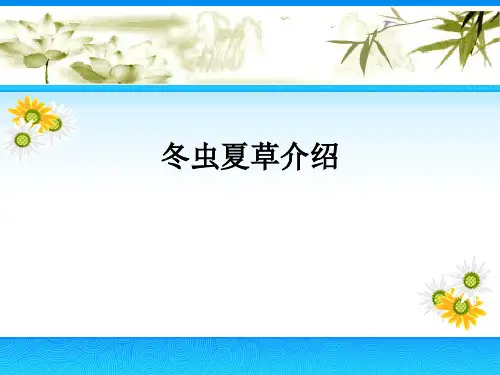 冬虫夏草介绍ppt课件