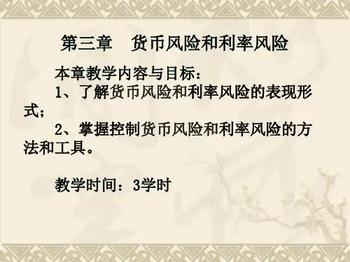 第三章 货币风险和利率风险