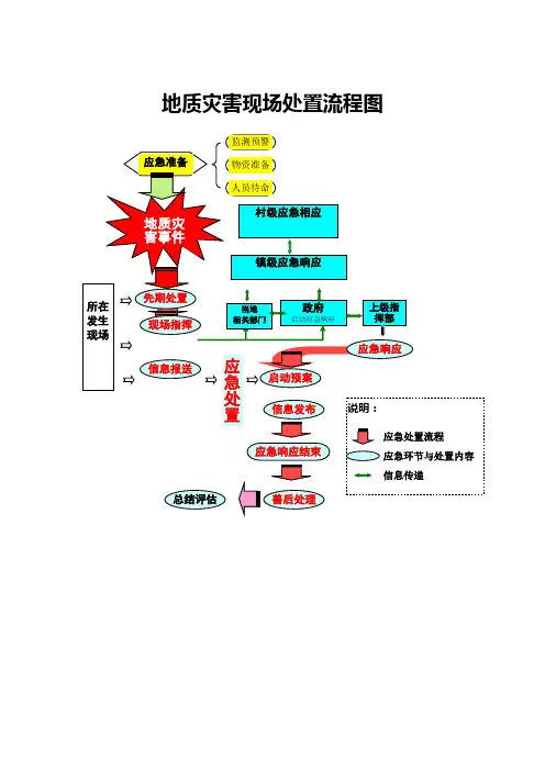 地质灾害现场处置流程图