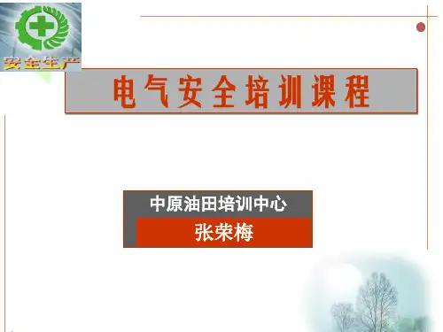 最新电气安全基础