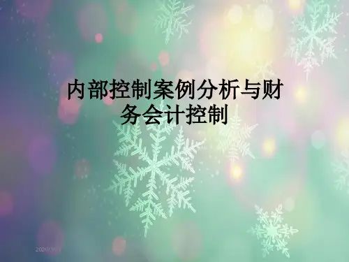内部控制案例分析与财务会计控制