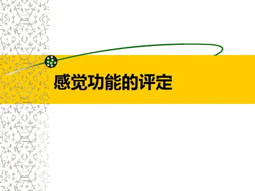 感觉功能的评定