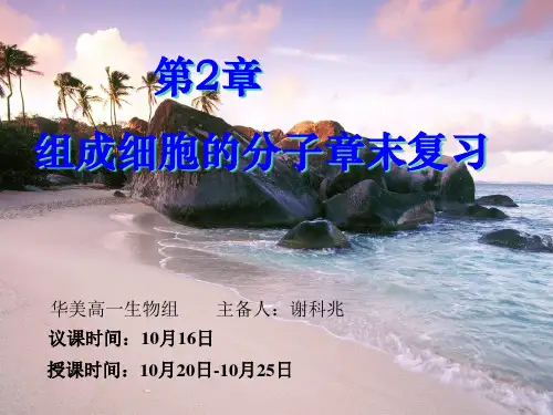 人教版生物必修一第二章组成细胞的分子复习课件(共21张PPT)[优秀课件资料]