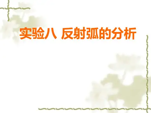 反射弧的分析