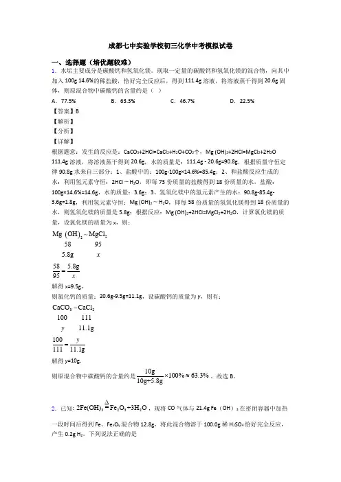 成都七中实验学校初三化学中考模拟试卷