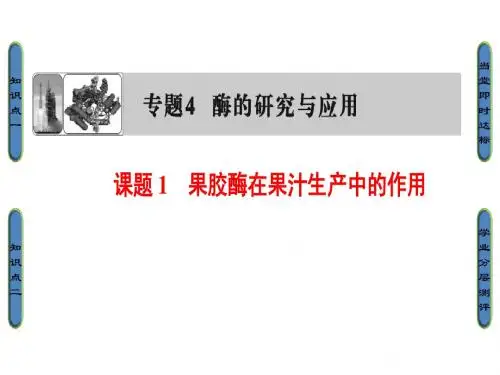 高中生物人教版选修一(课件) 专题4 酶的研究与应用 专题4 课题1
