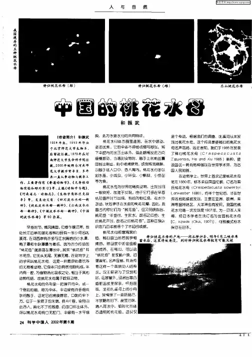 中国的桃花水母