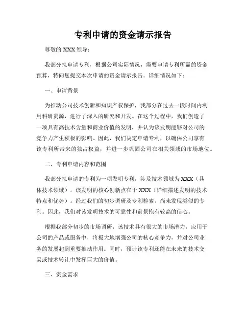 专利申请的资金请示报告