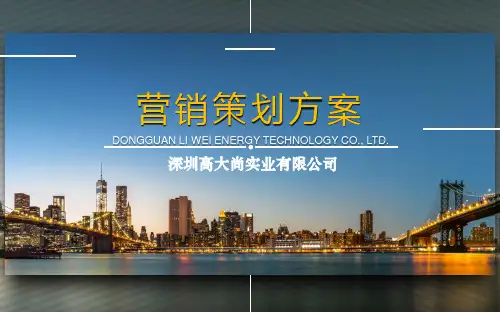 【营销策划】品牌媒体传播项目结案报告(精彩文案)