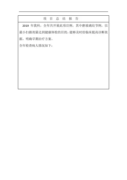 2019年项目总结报告