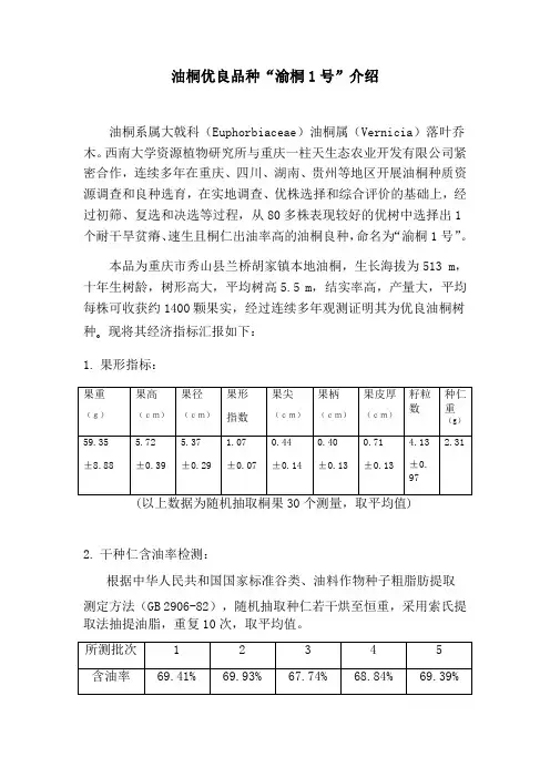 油桐优良品种介绍