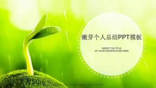 嫩芽个人总结ppt模板