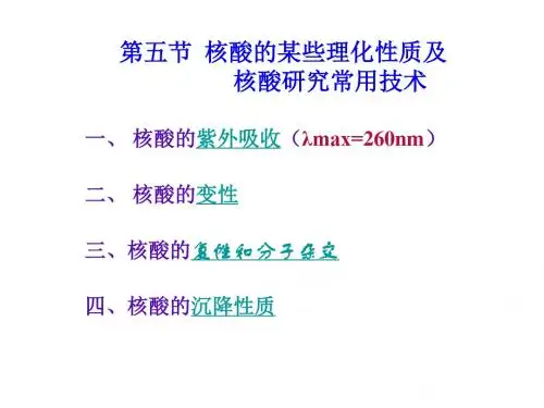 高一生物核酸化学2