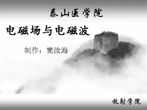 电磁波与电磁场——第十章