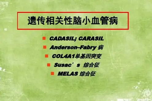 课程资料：脑小血管病