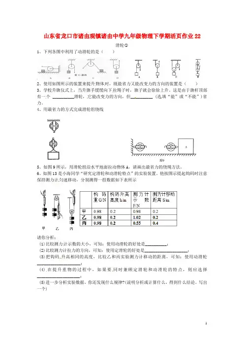 九年级物理下学期活页作业22(无答案) 鲁教版五四制