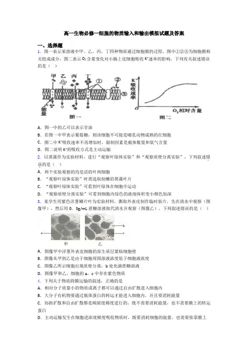高一生物必修一细胞的物质输入和输出模拟试题及答案