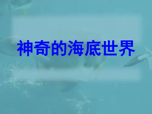 神奇的海底世界PPT课件