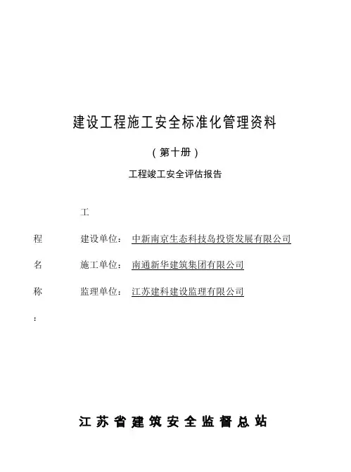工程竣工安全评估报告第十册