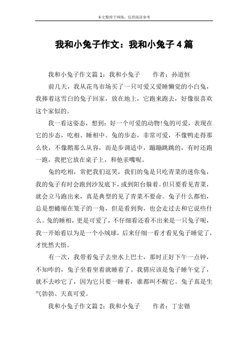 我和小兔子作文：我和小兔子4篇