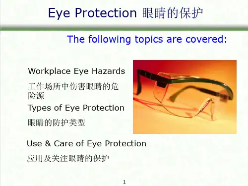眼睛的保护