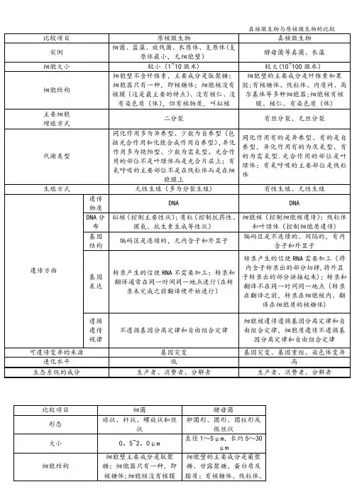 真核微生物与原核微生物的比较
