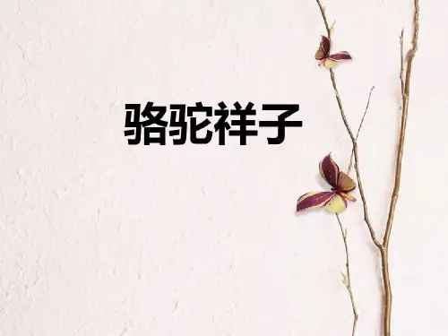 骆驼祥子PPT9 人教版27页PPT