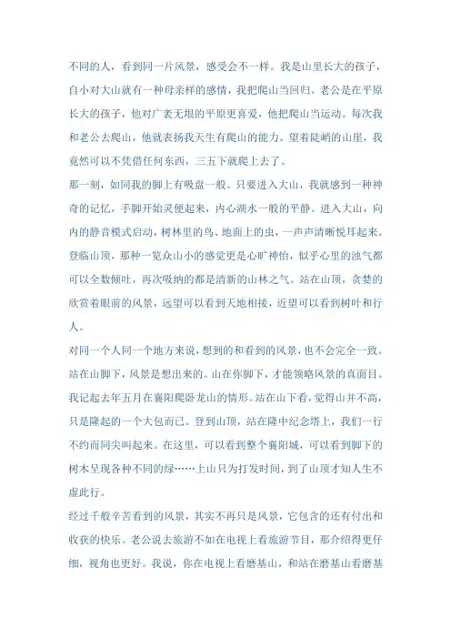 高考满分作文：山顶的风景